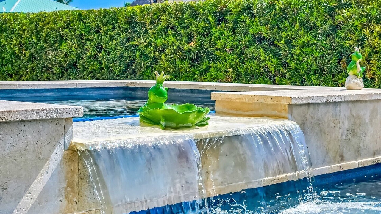 Photo of Outdoor in Venetian Shores