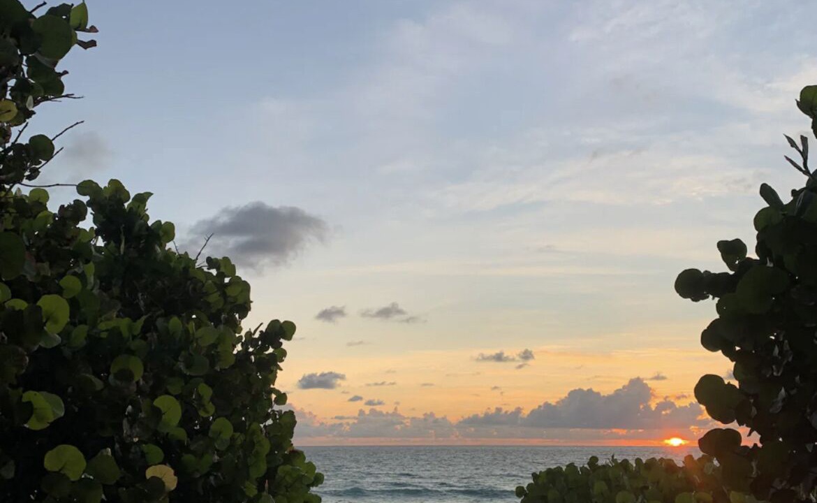 Photo of Outdoor in Jupiter Bay