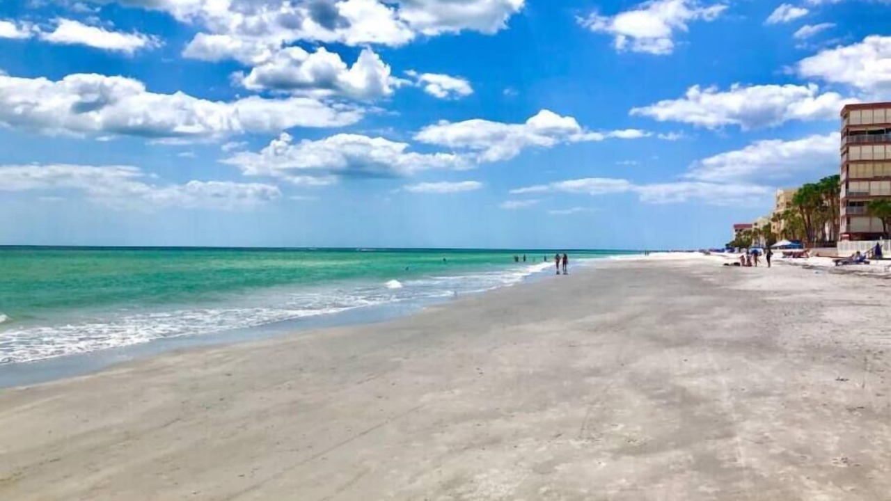 Photo of Others in North Redington Beach