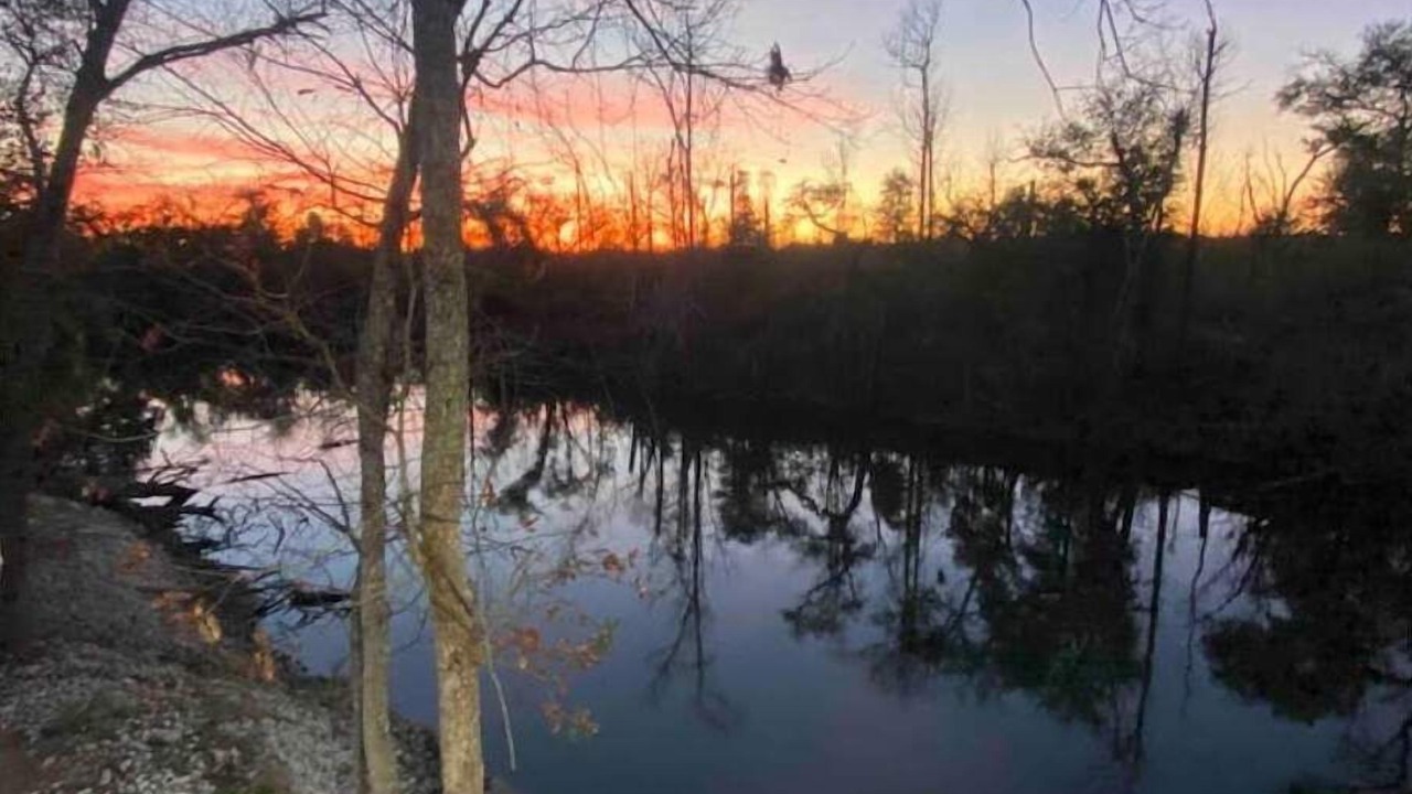 Photo of Outdoor in Clarksville