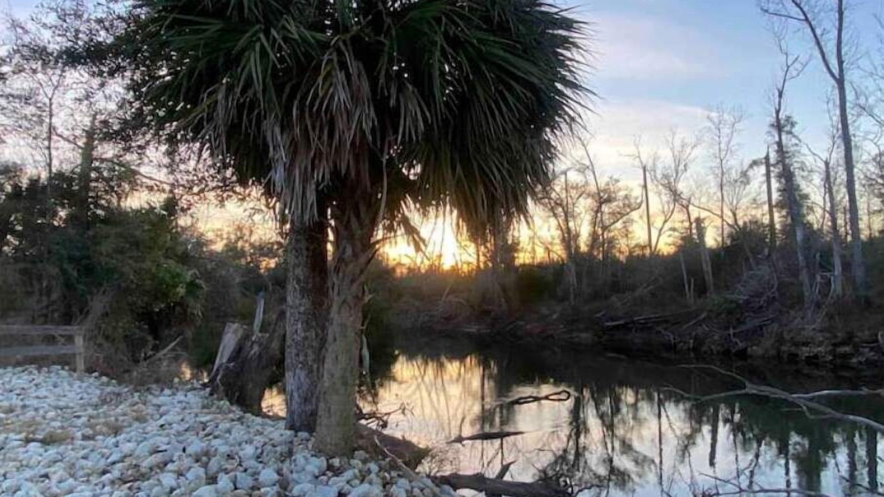 Photo of Outdoor in Clarksville