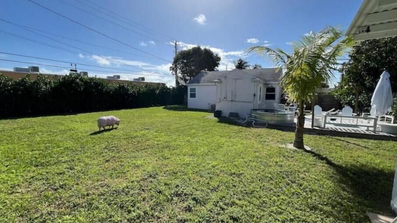 Photo of Outdoor in Southside