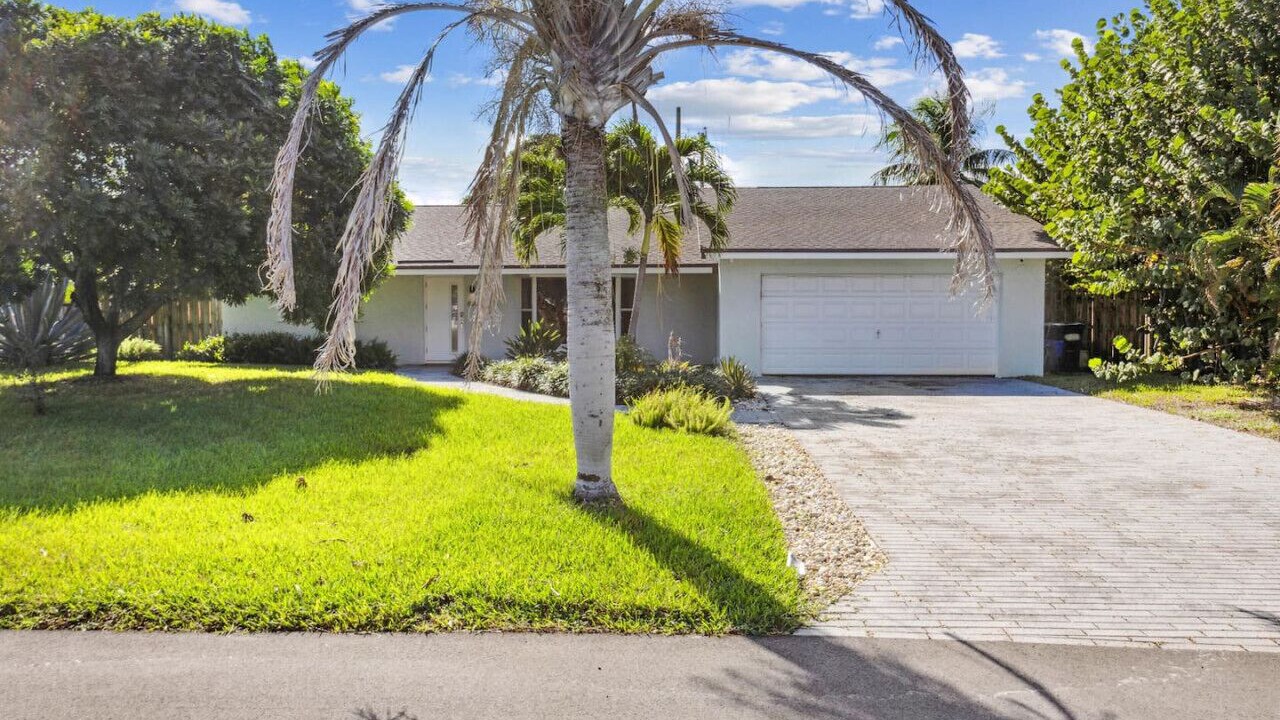 Photo of Outdoor in Tropic Palms