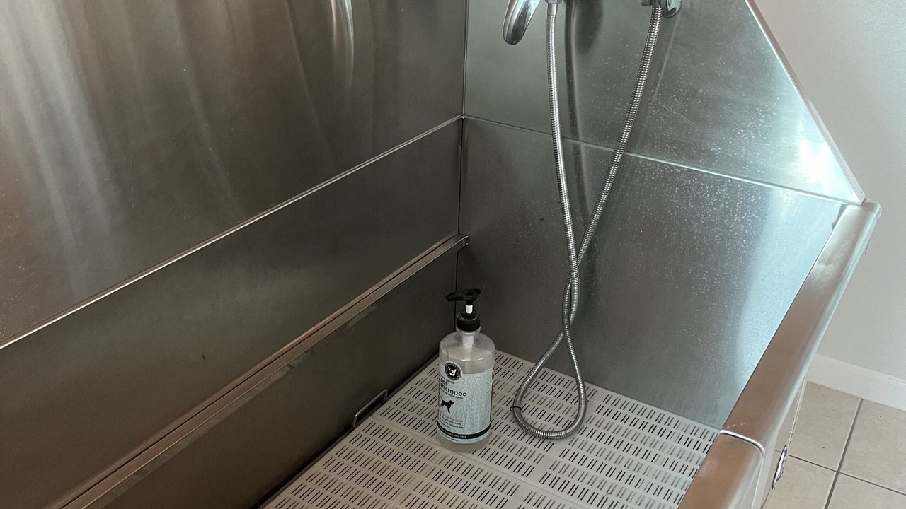 Photo of Bathroom in North Redington Beach