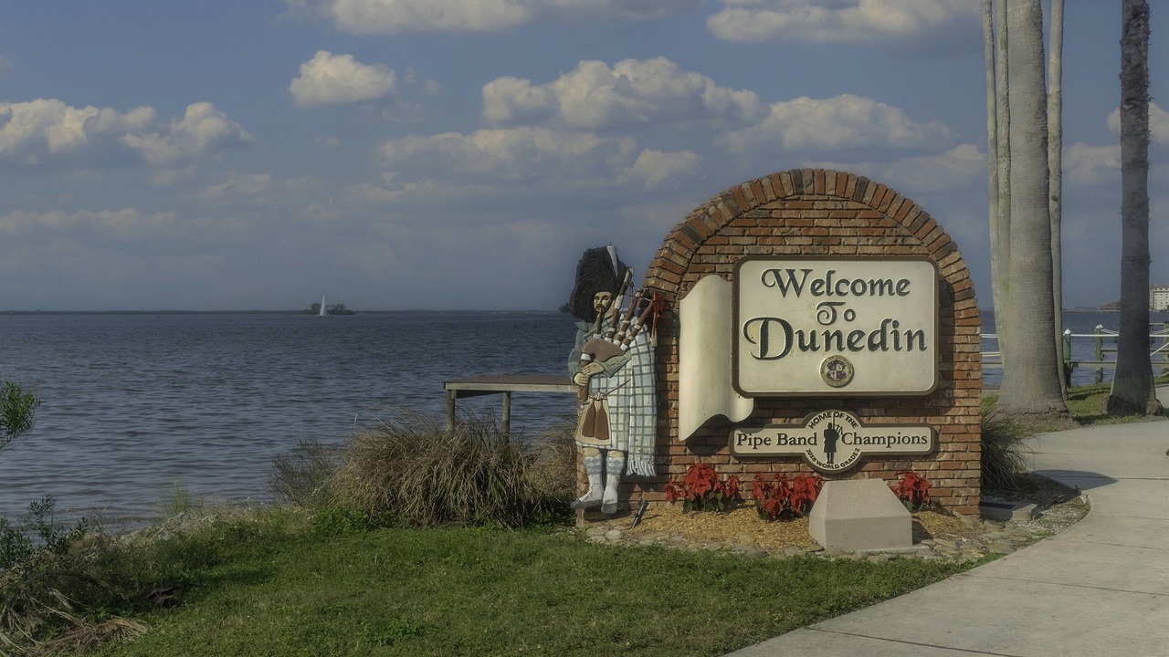 Photo of Others in Downtown Dunedin
