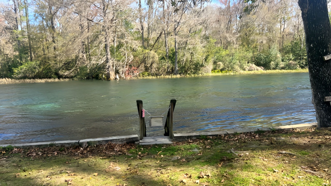 Photo of Others in Dunnellon