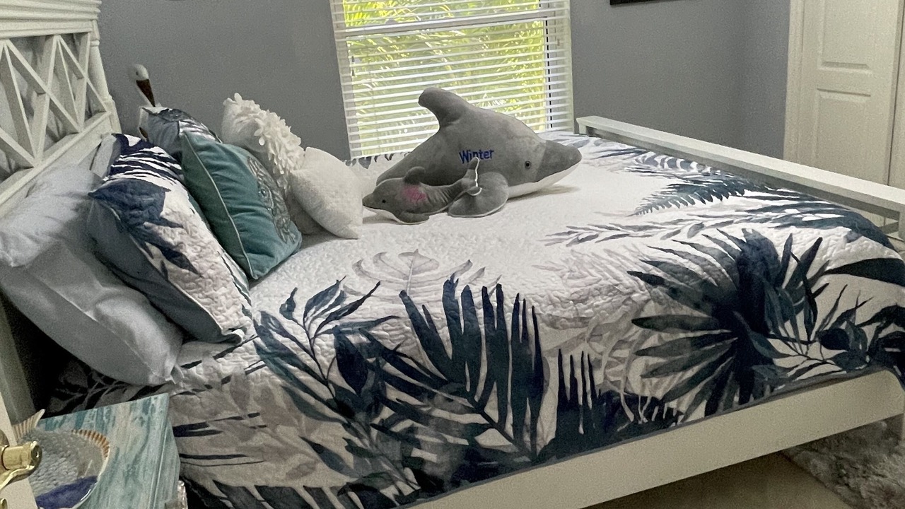 Photo of Bedroom in Belleair Beach