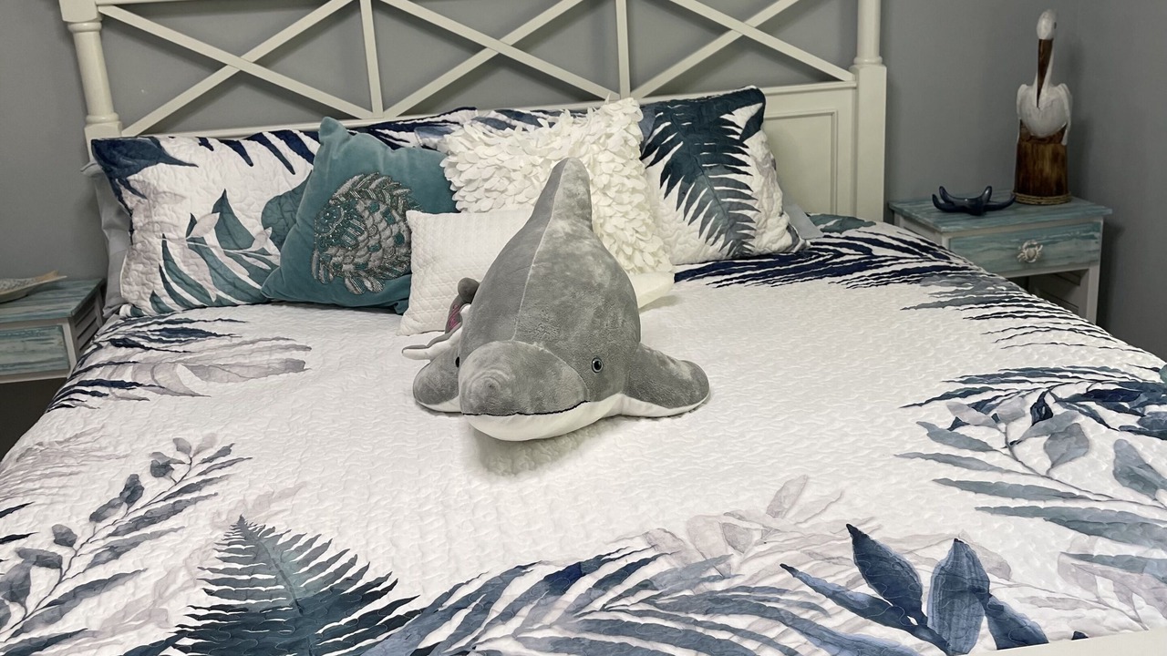 Photo of Bedroom in Belleair Beach