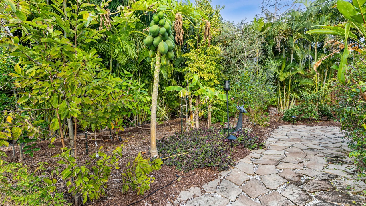 Photo of Outdoor in San Carlos Park