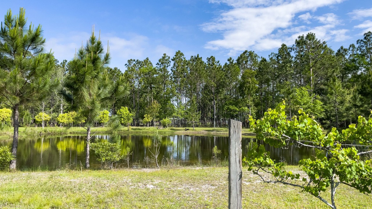 Photo of Outdoor in Ono Island