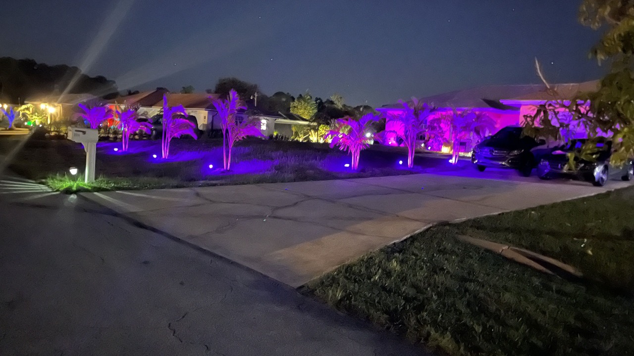 Photo of Outdoor in Joel