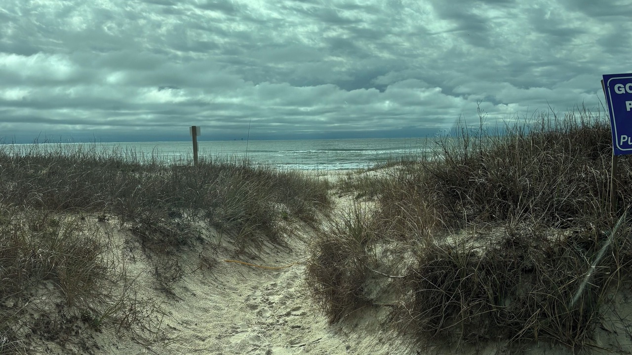 Photo of Others in Surf Side Shores