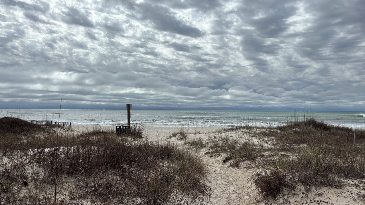 Photo of Others in Surf Side Shores