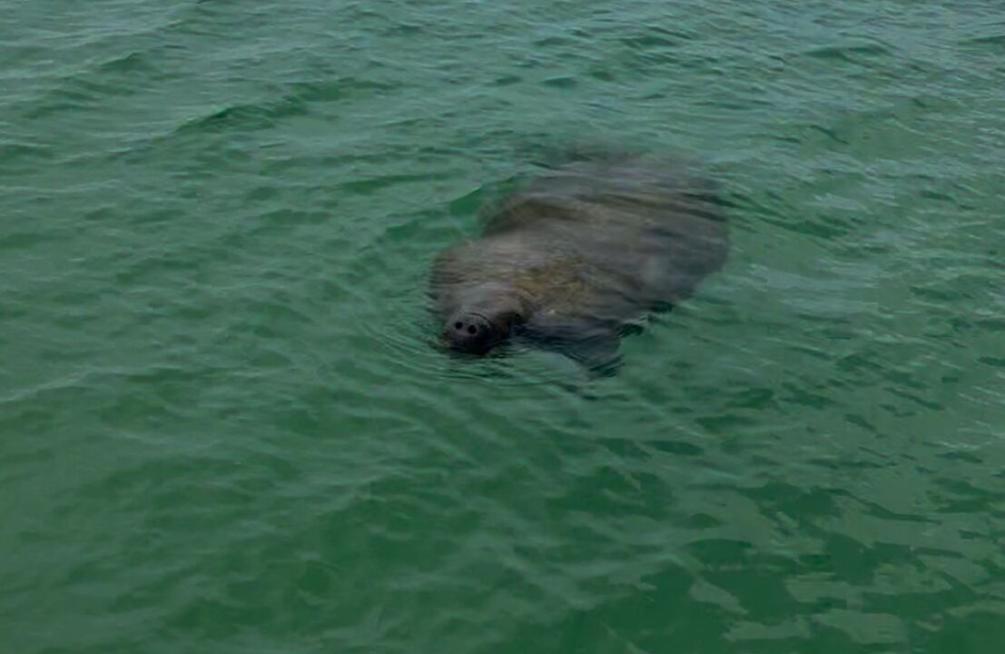 Photo of Others in Hammock Bay