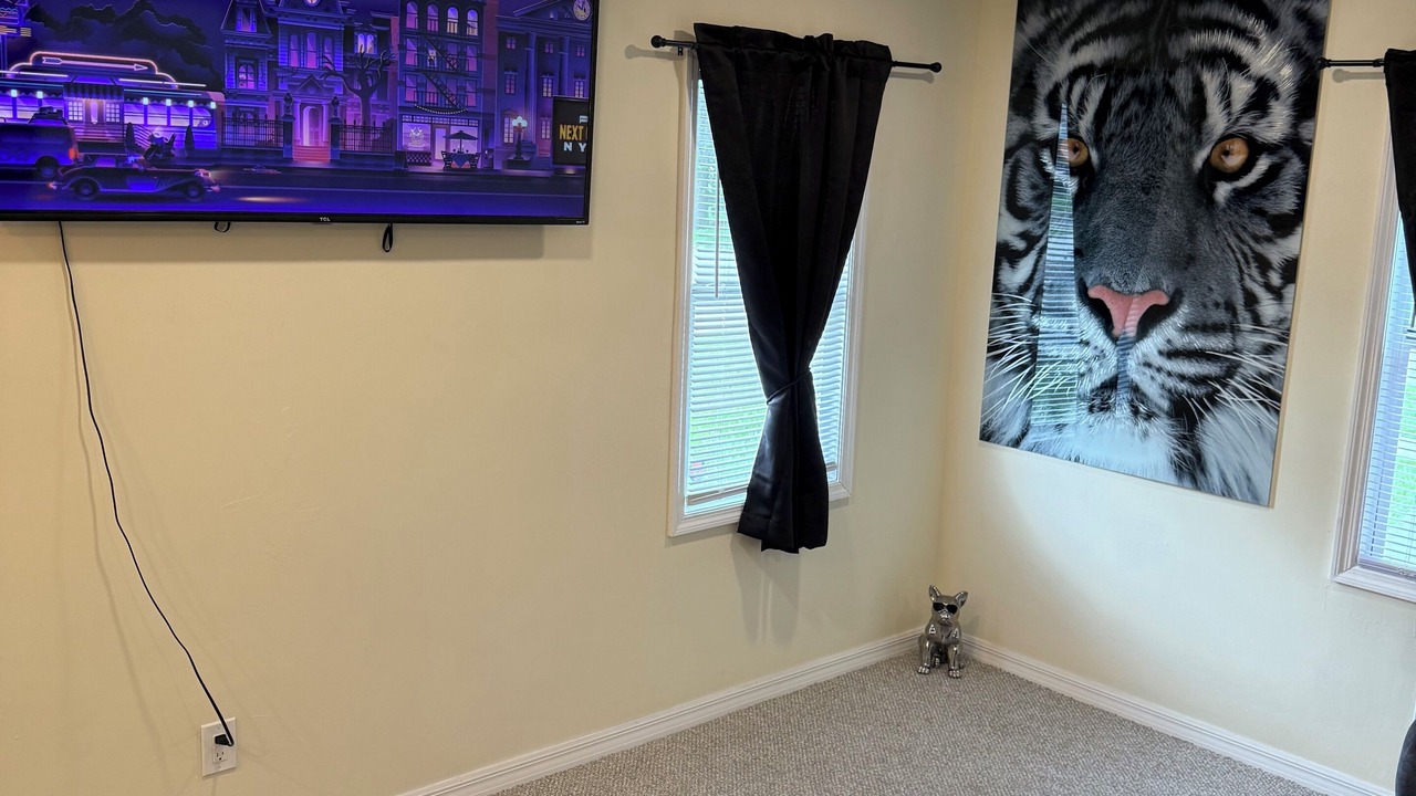 Photo of Livingroom in St. Petersburg - Clearwater