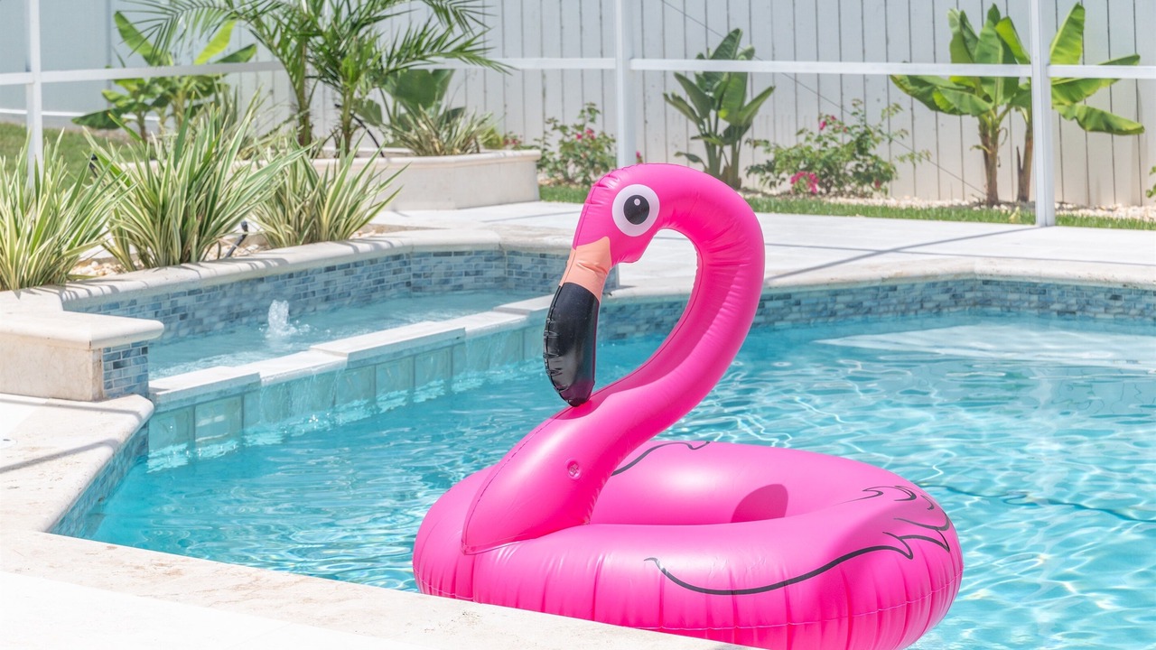 Photo of Outdoor in Palm Harbor