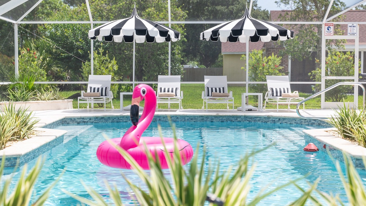 Photo of Outdoor in Palm Harbor