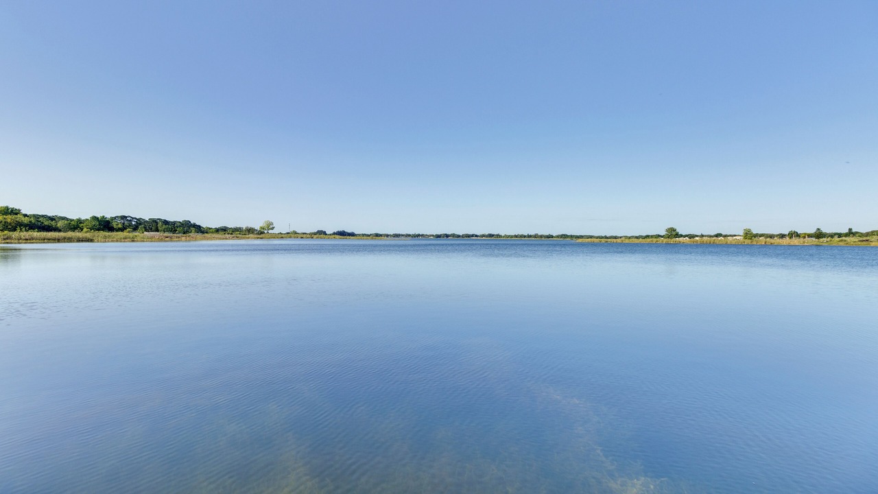 Photo of Others in Tavares