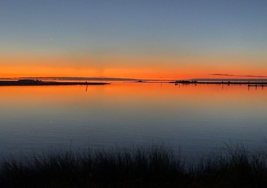 Photo of Others in Steinhatchee