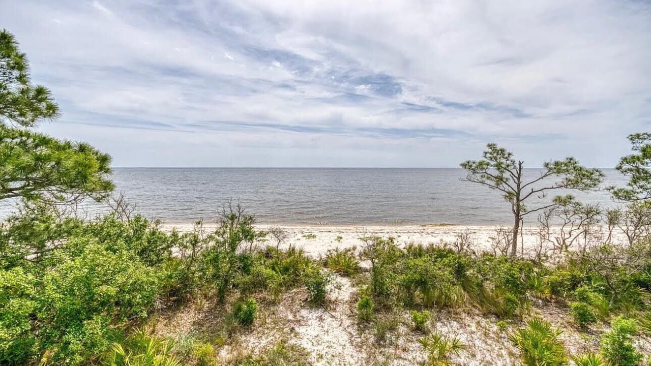 Photo of Others in Alligator Point