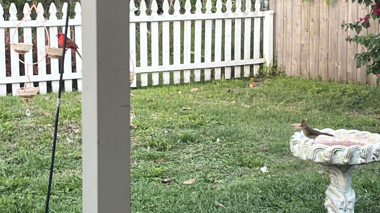 Photo of Outdoor in Odessa