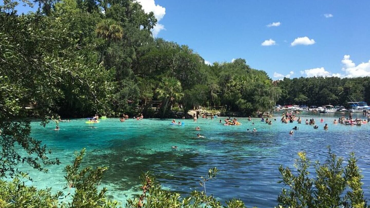 Photo of Others in Salt Springs