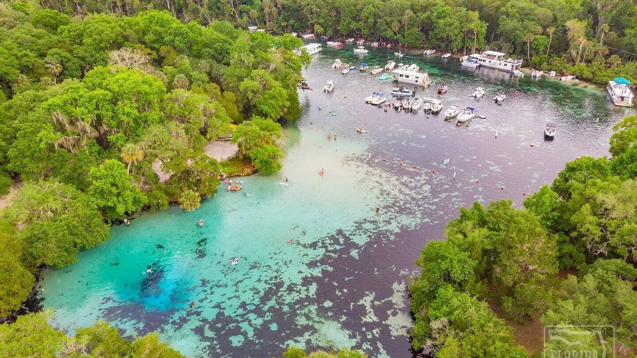 Photo of Outdoor in Salt Springs