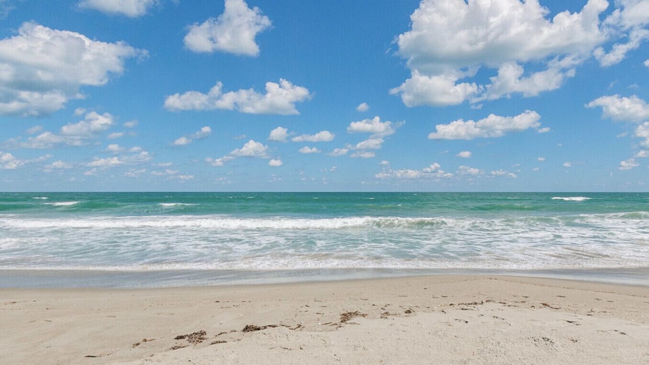 Photo of Others in Cocoa Beach