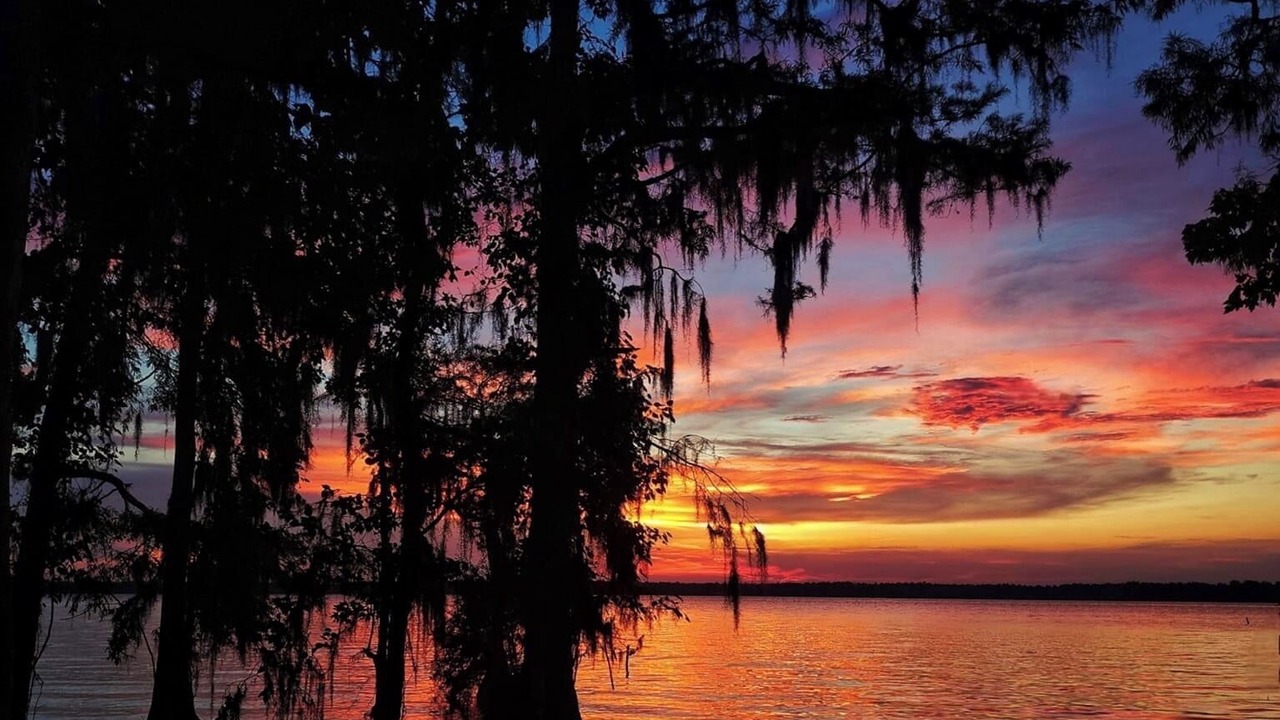 Photo of Others in Palatka