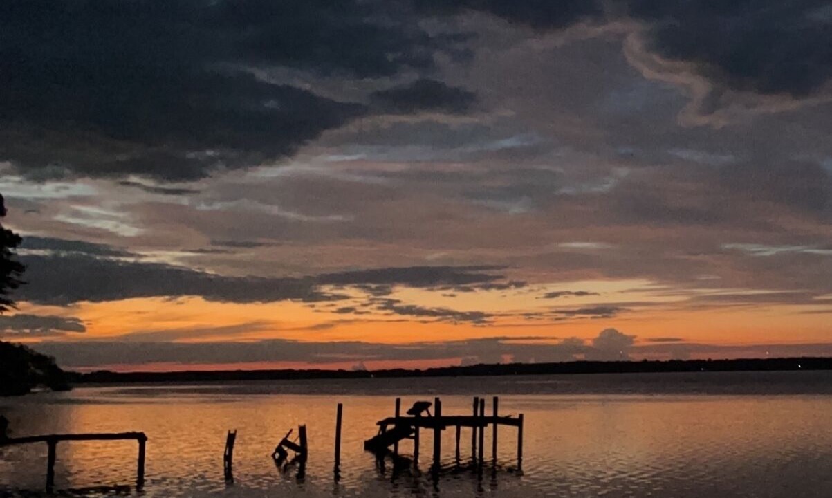 Photo of Others in Palatka