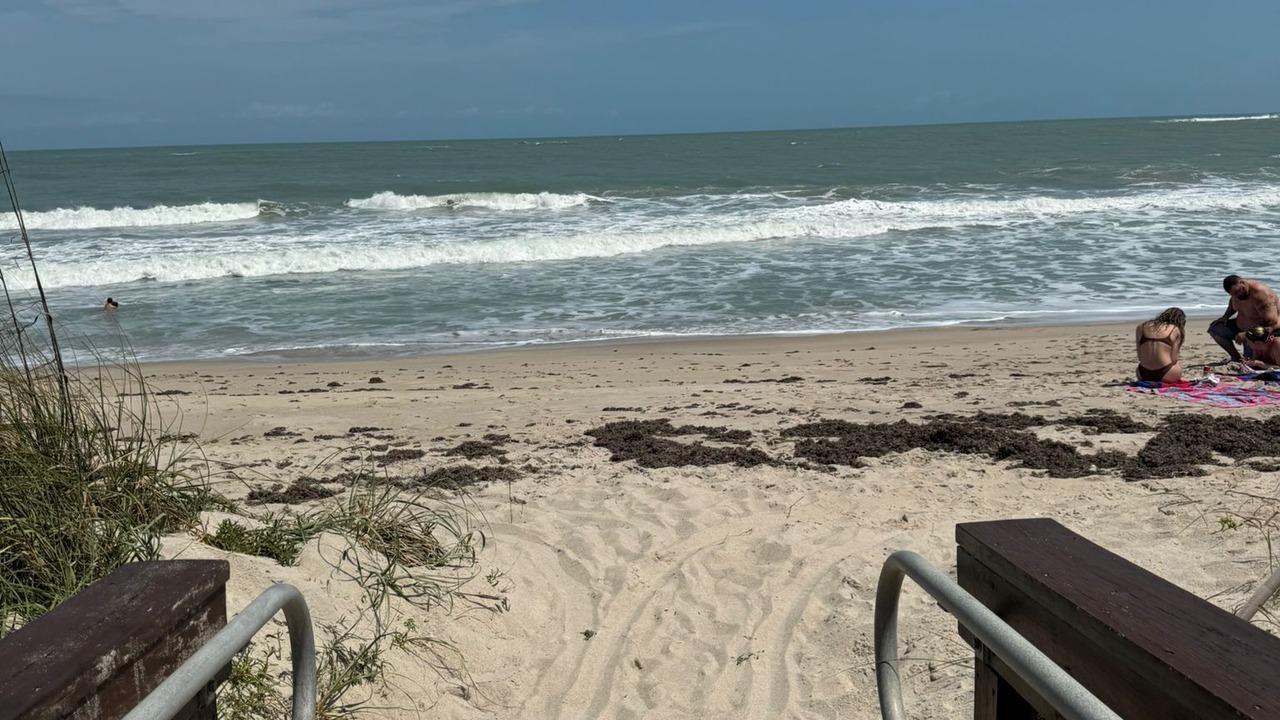 Photo of Others in Fort Pierce Shores