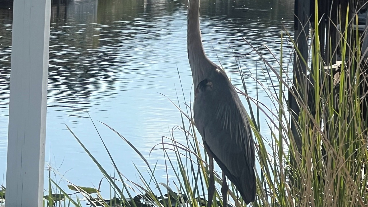 Photo of Others in Taylor Creek