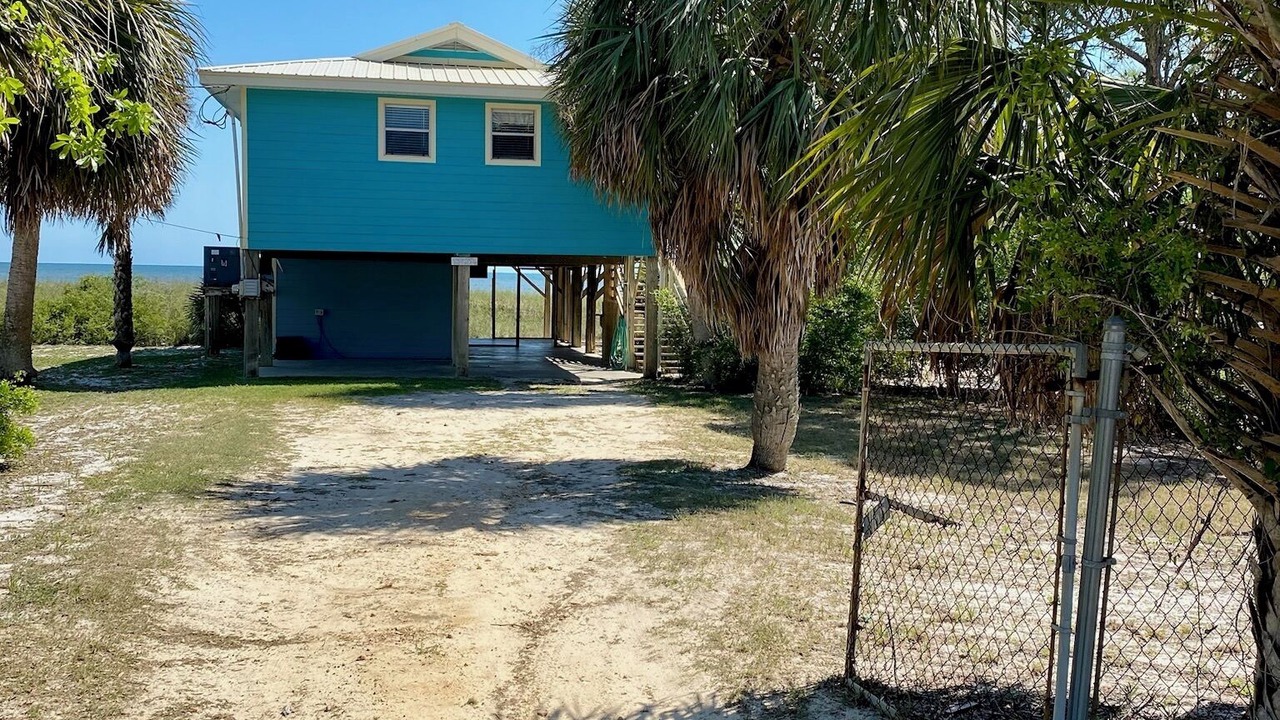 Photo of Outdoor in Alligator Point