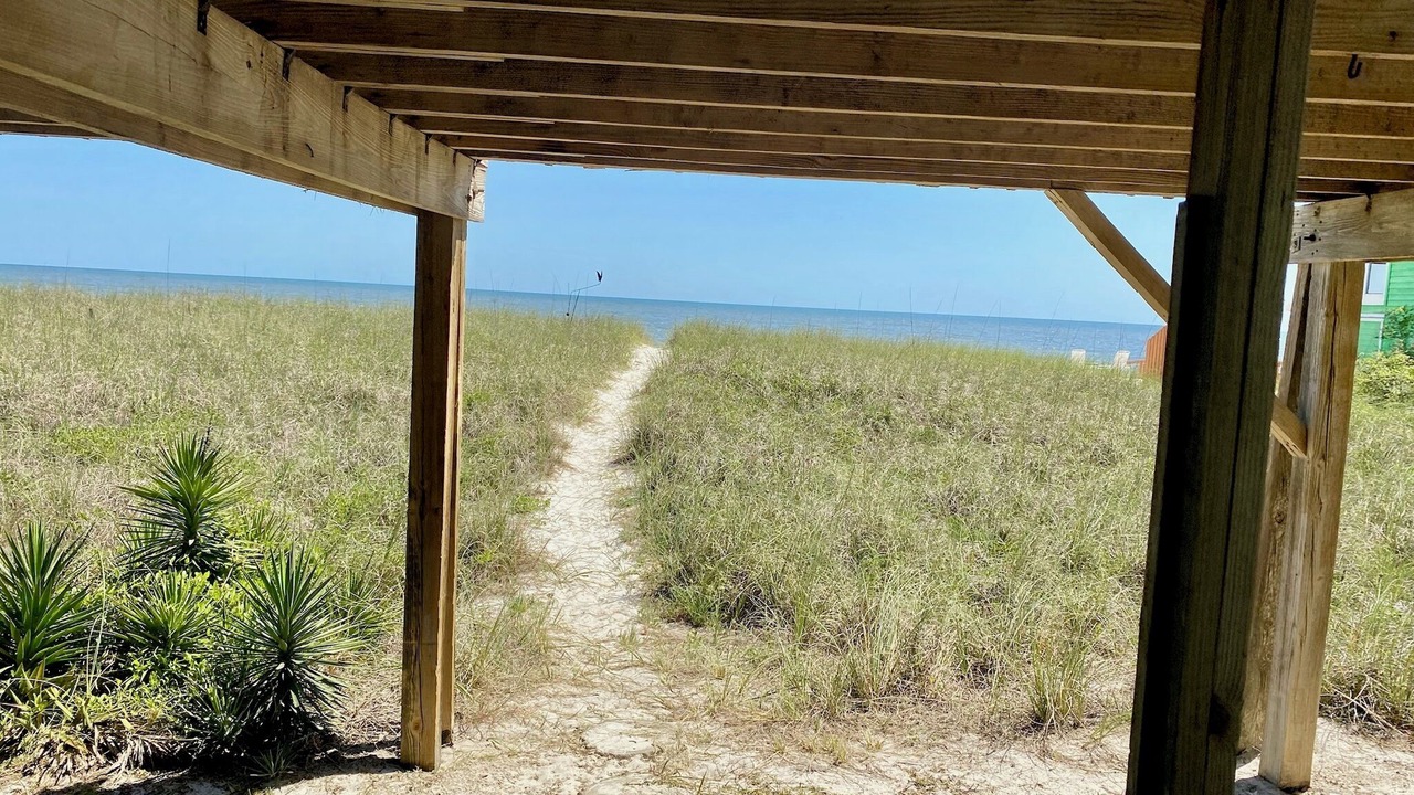 Photo of Others in Alligator Point