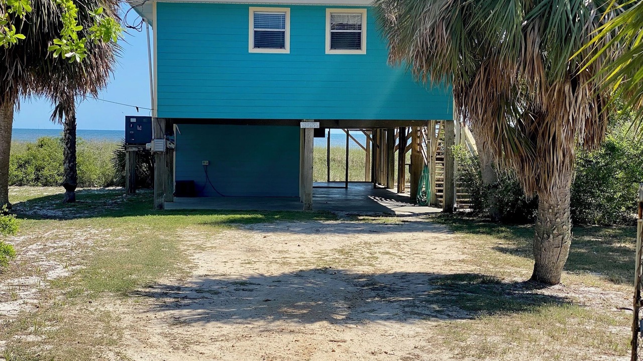 Photo of Outdoor in Alligator Point