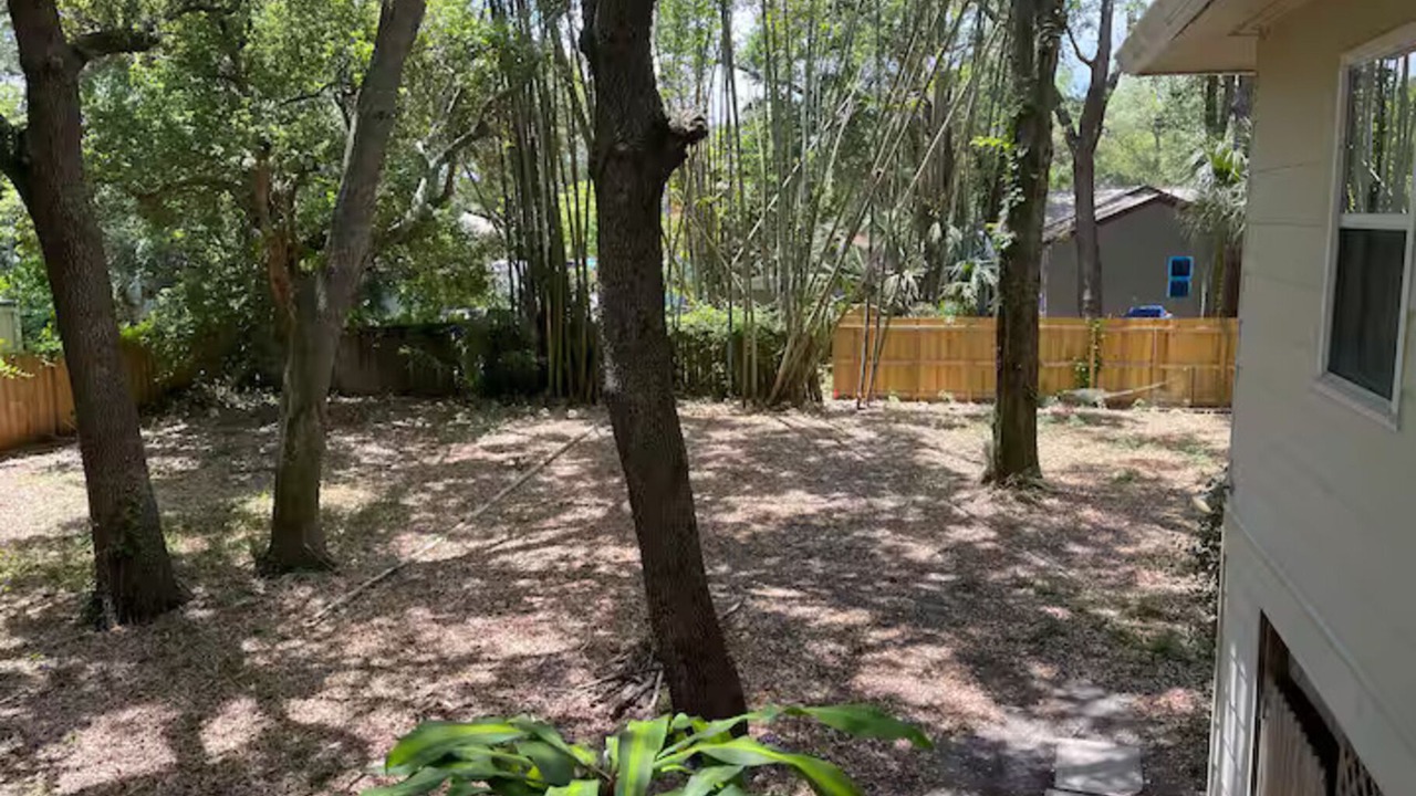 Photo of Outdoor in Oldsmar