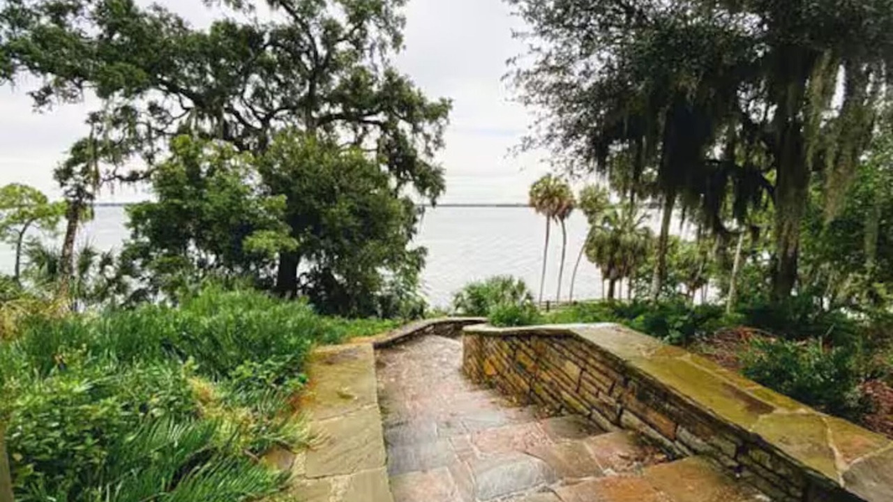 Photo of Outdoor in Oldsmar