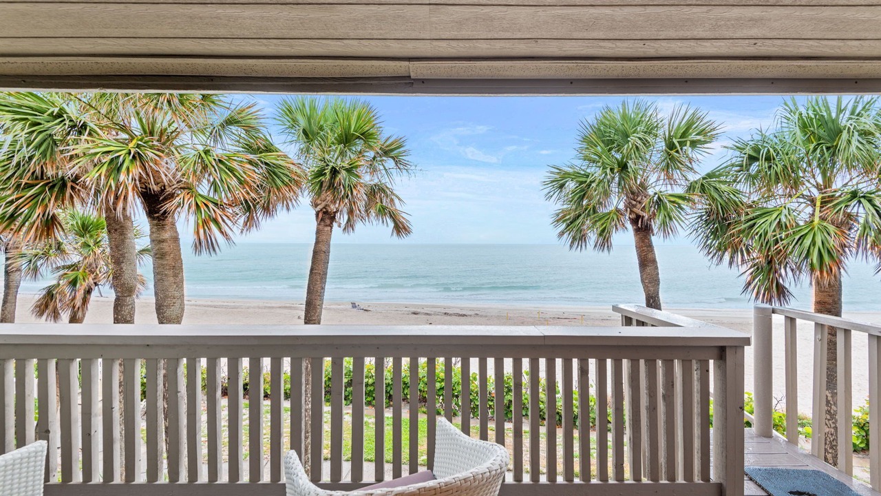 Photo of Outdoor in Belleair Beach