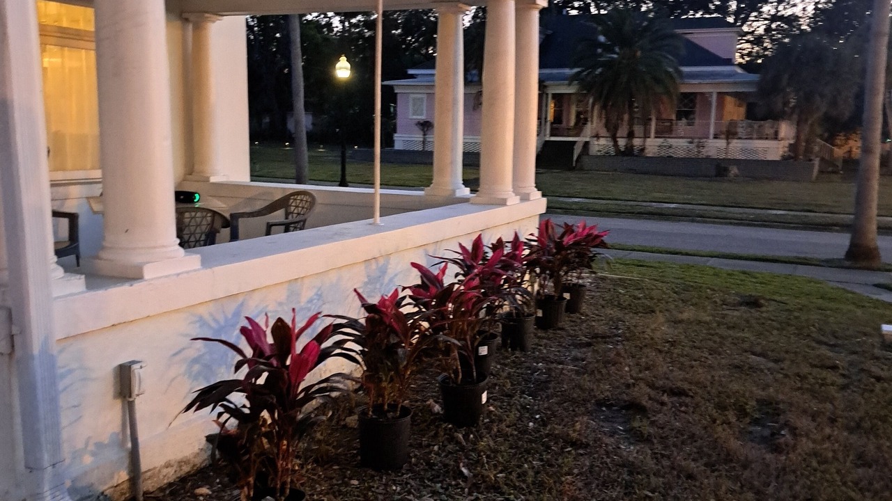 Photo of Outdoor in Fort Myers