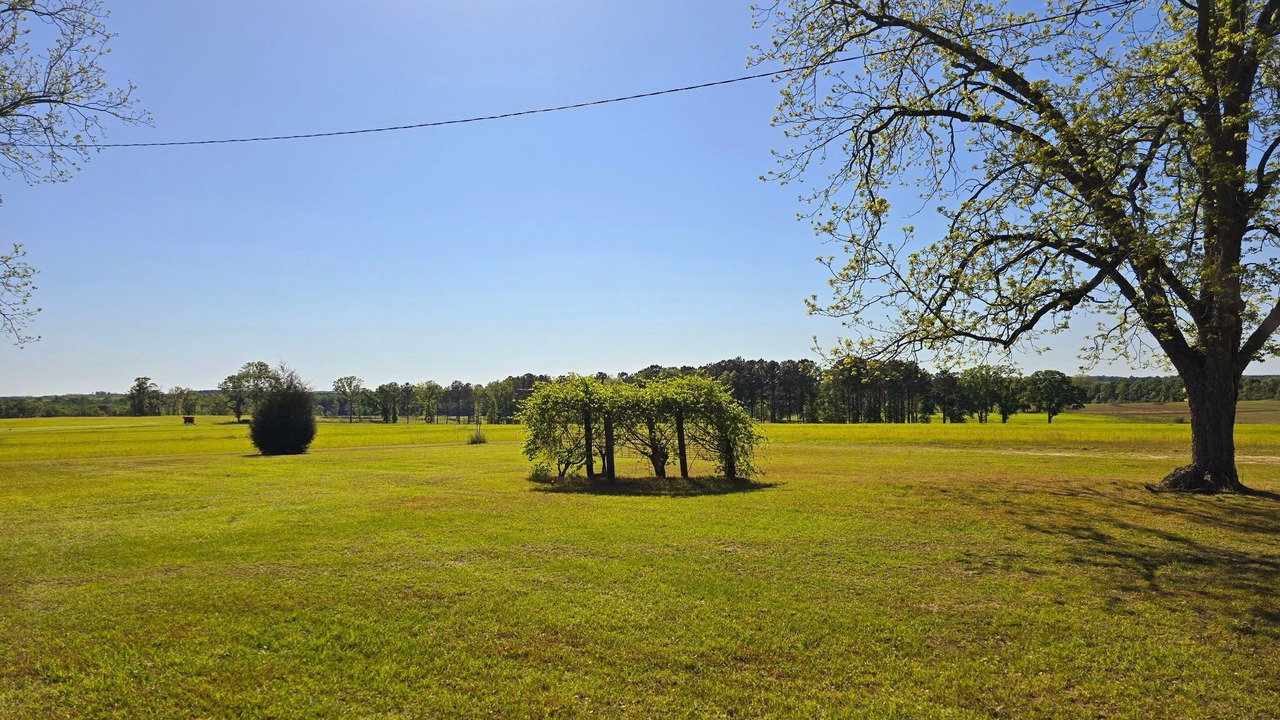 Photo of Others in Pansey