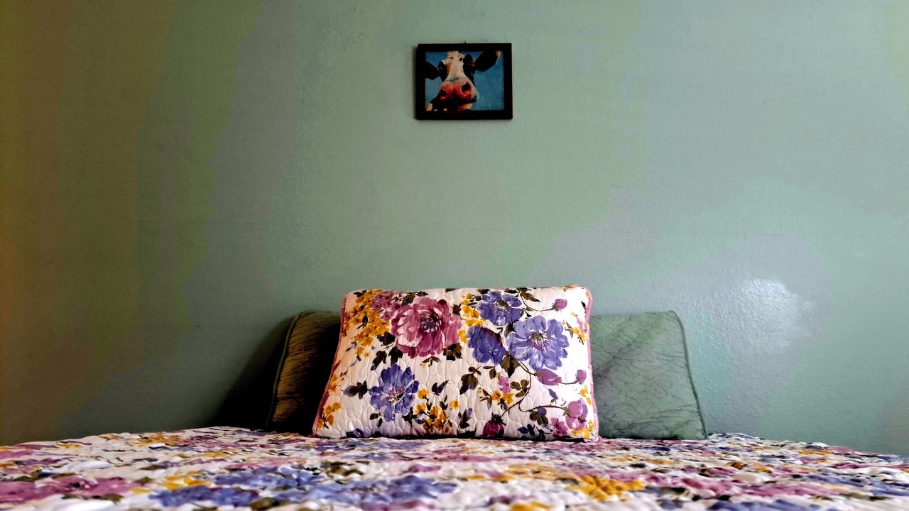 Photo of Bedroom in Tallahassee