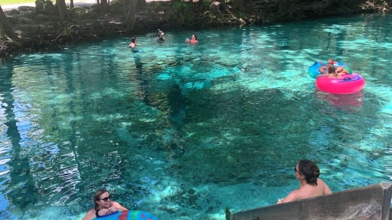 Photo of Others in Alachua
