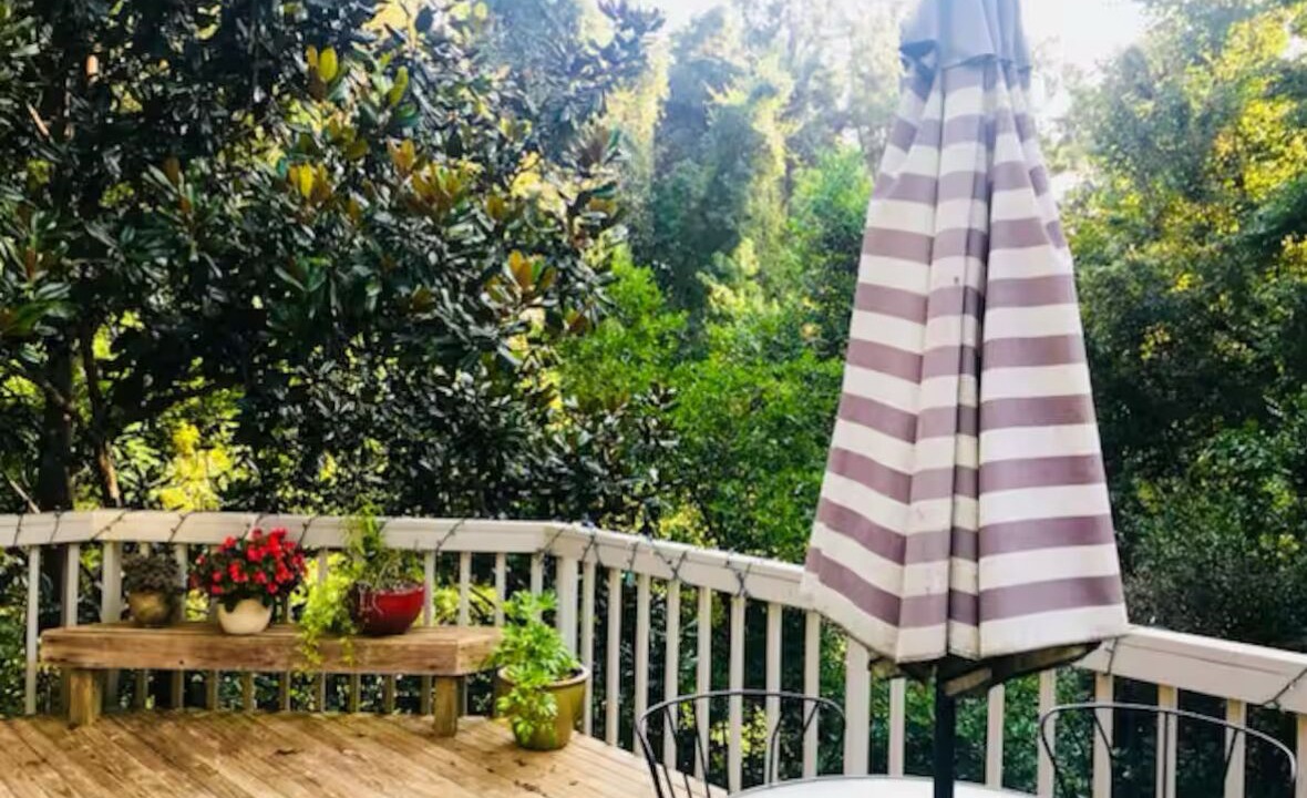 Photo of Outdoor in Tallahassee