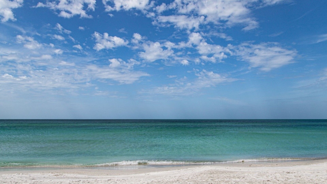 Photo of Others in Longboat Key