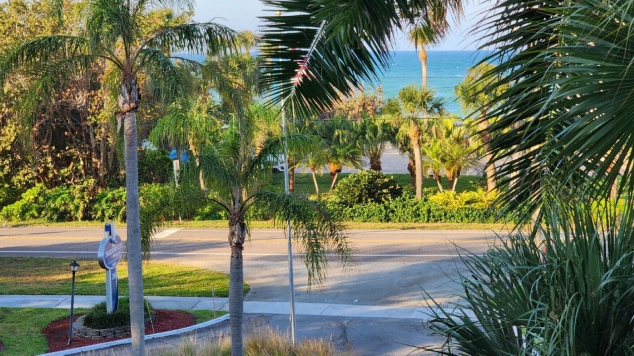 Photo of Outdoor in Longboat Key