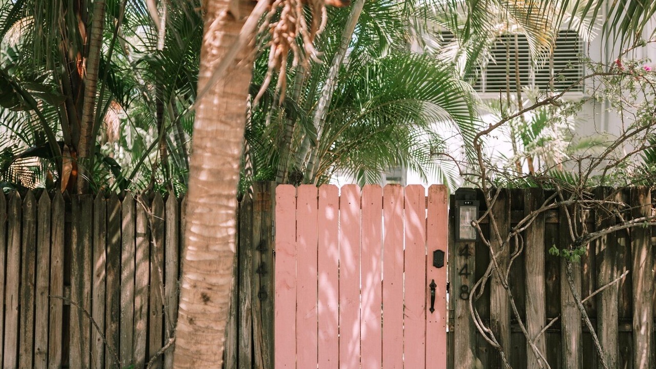 Photo of Others in Palm Beach - West Palm Beach