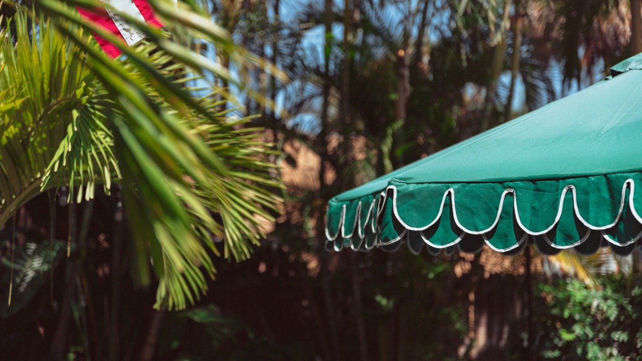 Photo of Outdoor in Palm Beach - West Palm Beach