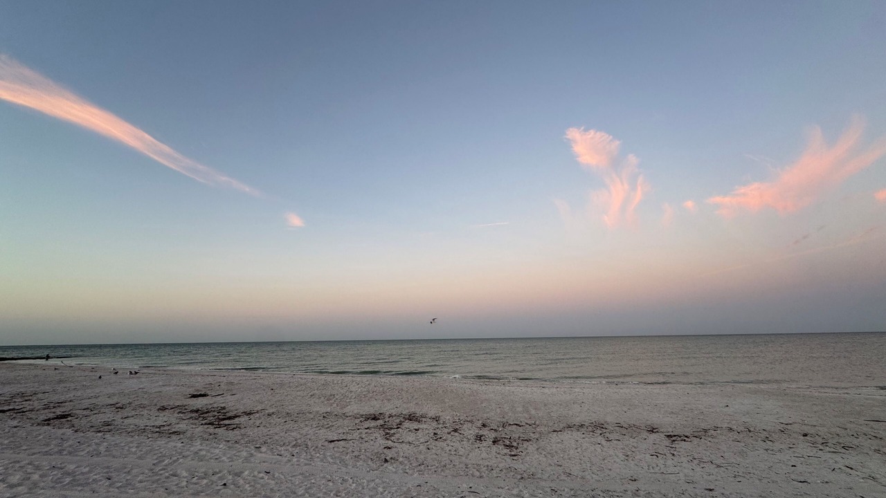Photo of Others in St. Pete Beach