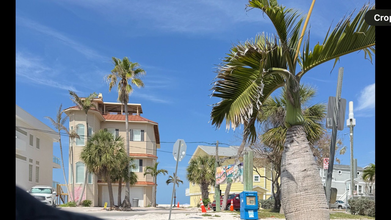 Photo of Others in St. Pete Beach