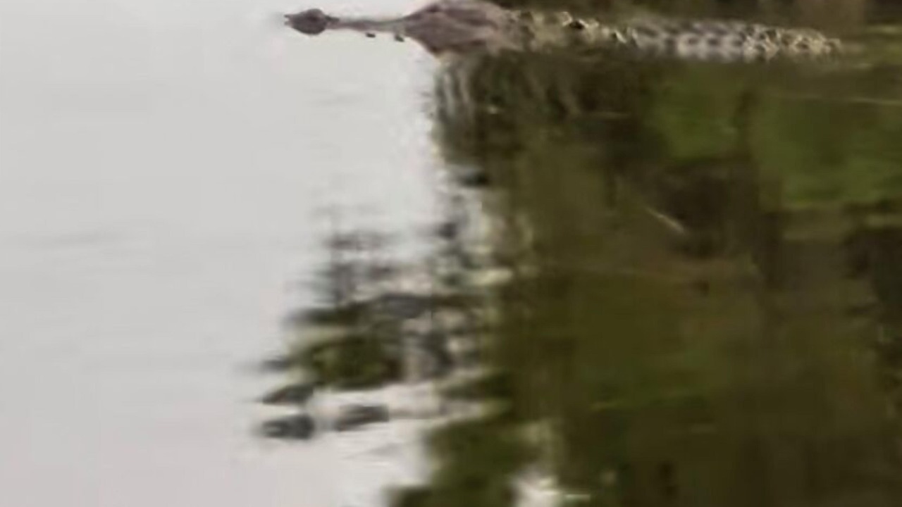 Photo of Others in Rotonda Lakes